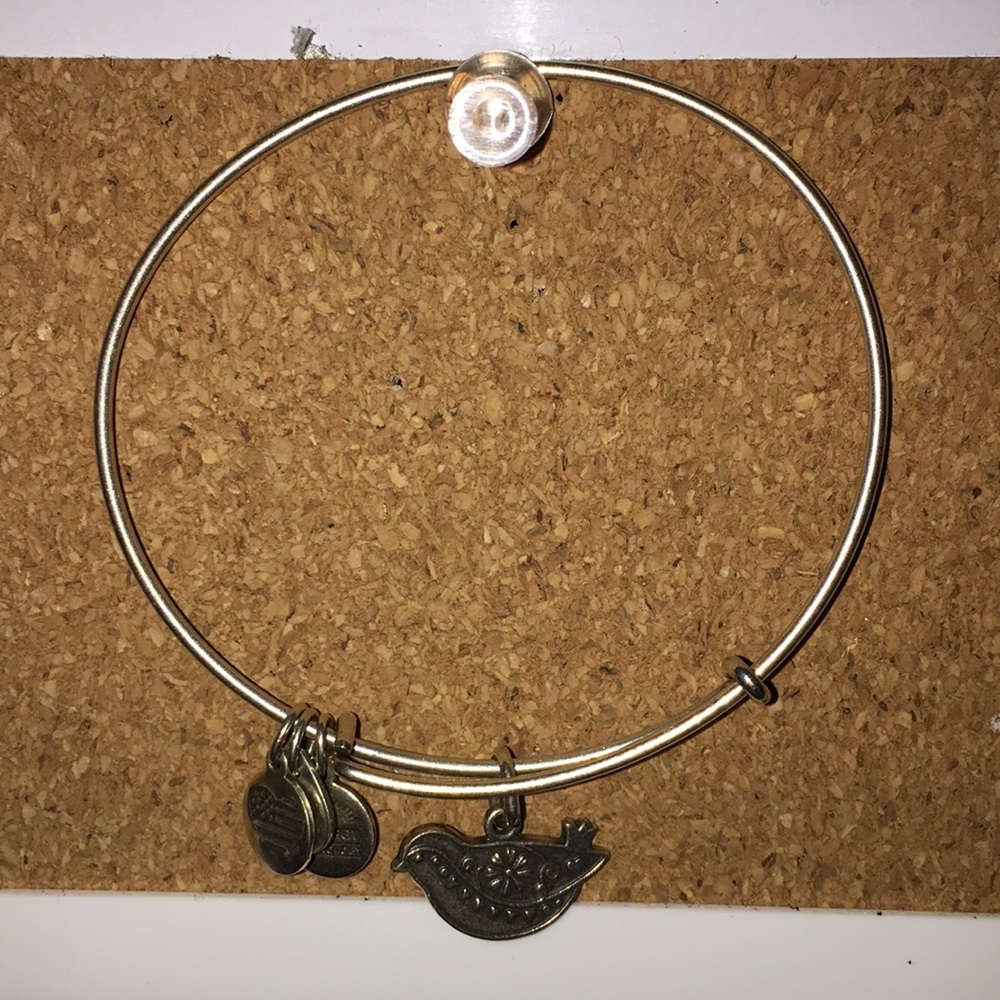 Bird Alex and Ani Bracelet